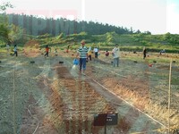 Ladang Kongsi