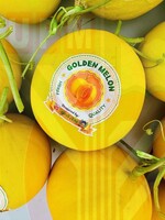 PELAJAR SK KAMPUNG BARU RAIKAN KEJAYAAN AGRISTEM MELALUI PENUAIAN GOLDEN MELON