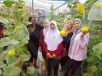 PELAJAR SK KAMPUNG BARU RAIKAN KEJAYAAN AGRISTEM MELALUI PENUAIAN GOLDEN MELON