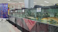Pameran Akuatik & Marin