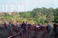 Penyelidikan Padi di Bukit Kerawing
