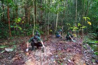 Penanaman Pokok "1 RAS 1 Pokok" Dan Pemuliharaan Tebingan Sungai Tahun 2022 di Hutan Nirwana UPMKB