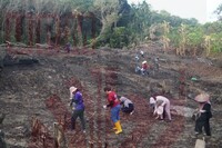 PLOT PENYELIDIKAN PADI BUKIT KERAWING DI UPMKB