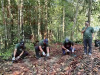 Penanaman Pokok "1 RAS 1 Pokok" Dan Pemuliharaan Tebingan Sungai Tahun 2022 di Hutan Nirwana UPMKB