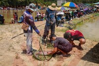 Pertandingan Memancing - Battle of the Anglers 2025 (BOTA2025)