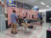 Derma Darah