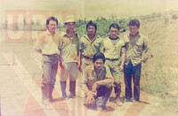 Projek penanaman nenas