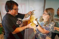KURSUS PENGURUSAN PENTERNAKAN AYAM DI UPMKB PERKASA KOMUNITI TEMPATAN DALAM BIDANG PERTANIAN