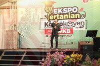 Pertandingan Karaoke