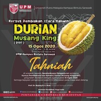 Kursus Pembiakan (Cara Kahwin) Durian musang King