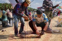 Pertandingan Memancing - Battle of the Anglers 2025 (BOTA2025)