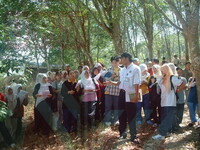 Amali