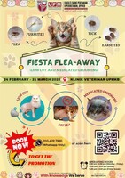 Fiesta Flea-Away