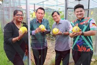 PELAJAR SK KAMPUNG BARU RAIKAN KEJAYAAN AGRISTEM MELALUI PENUAIAN GOLDEN MELON